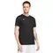 Camiseta Nike Dry Fit Park VII Masculino