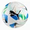 Bola Puma Campo Cumbre Conmebol Libertadores