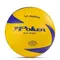 Bola Poker de Vôlei Semi Profissional VL5250